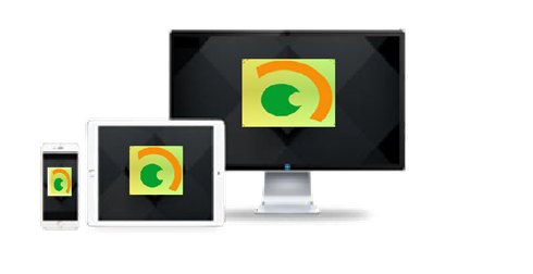 PRAMA VMS PROFESSIONAL
